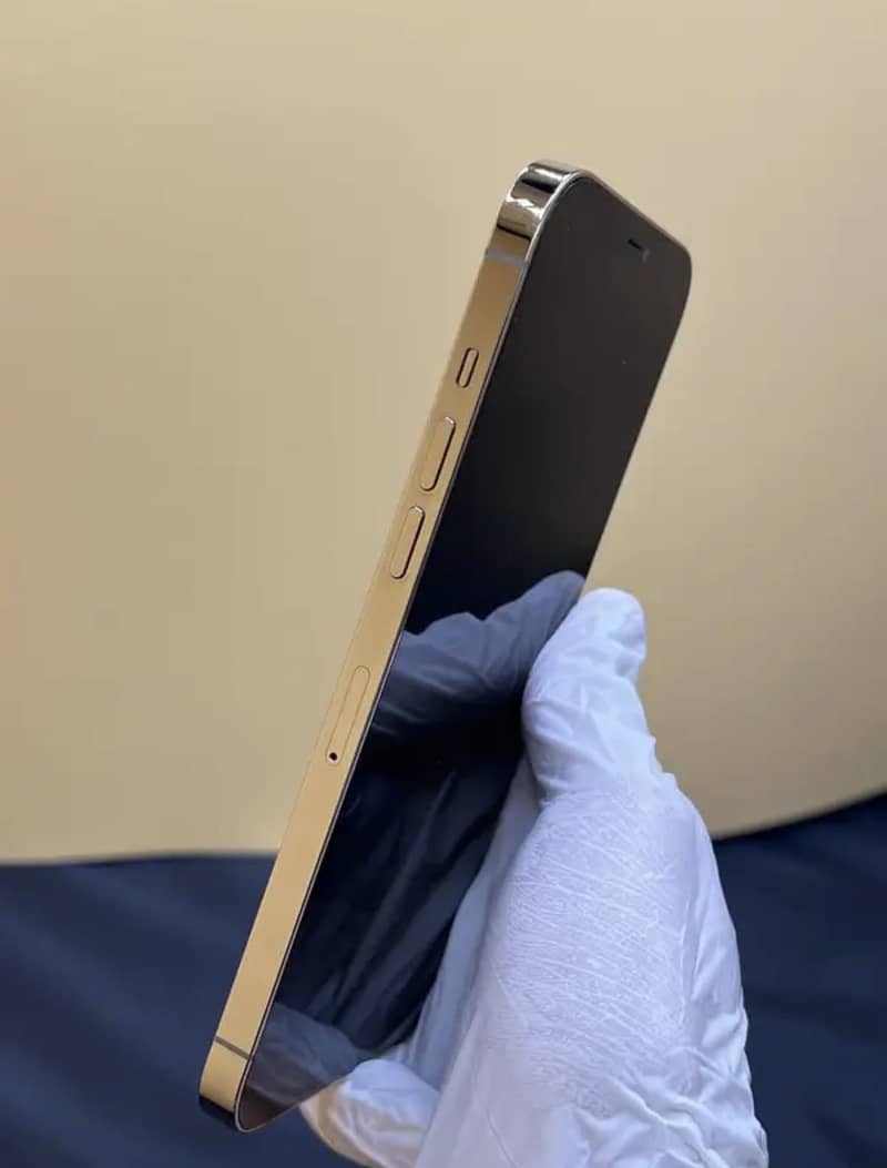 Apple iPhone 12 Pro Max 2