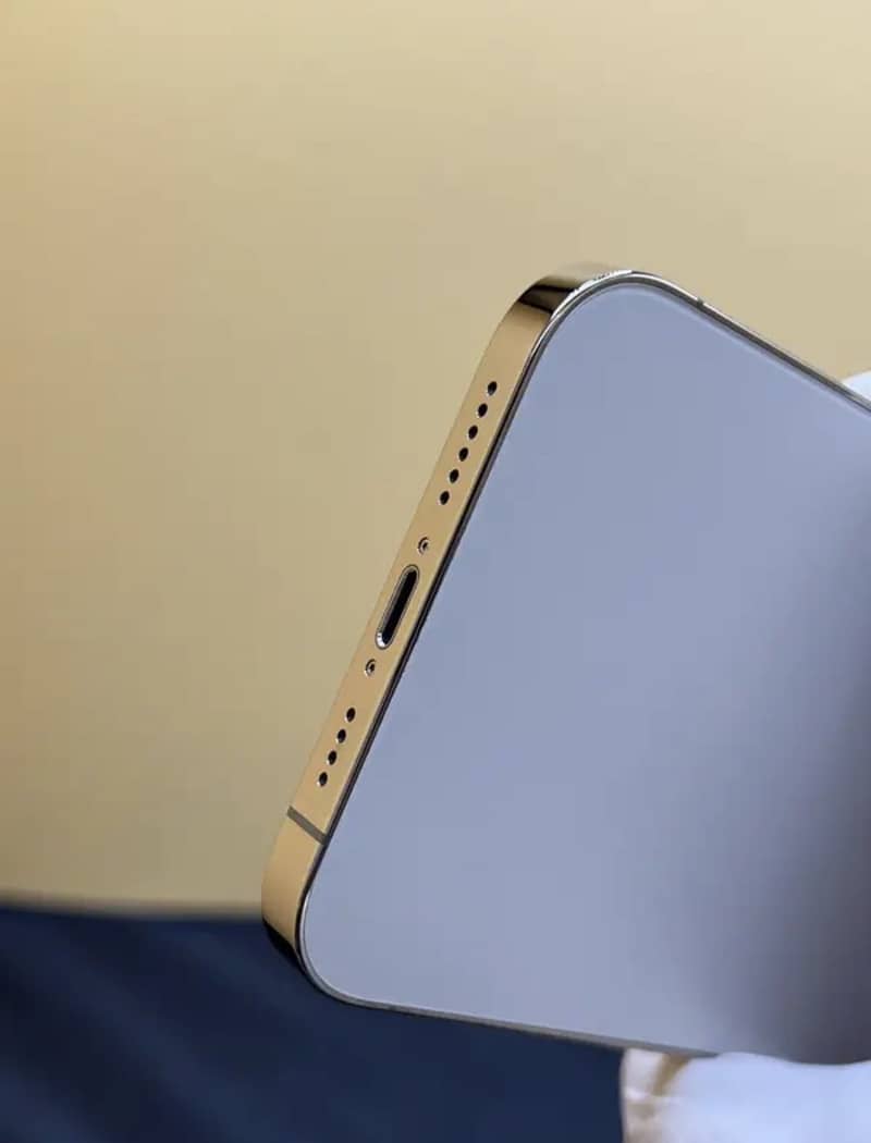 Apple iPhone 12 Pro Max 7