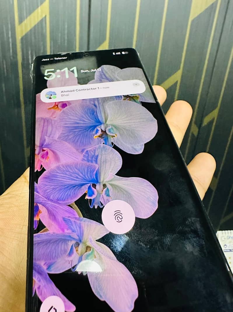 Google Pixel 6 Pro 1