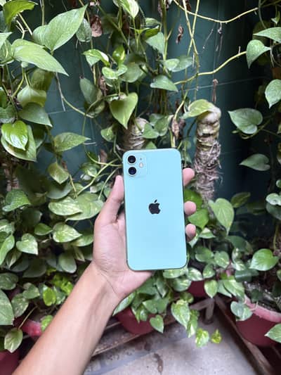 Apple iPhone 11