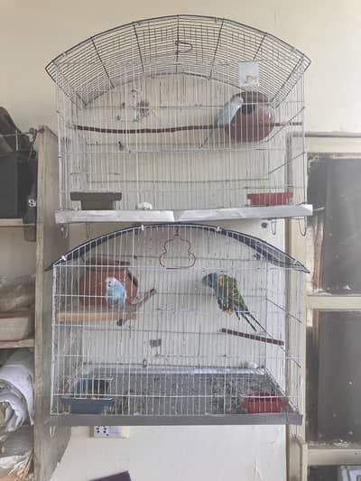 2 Cages available for sale