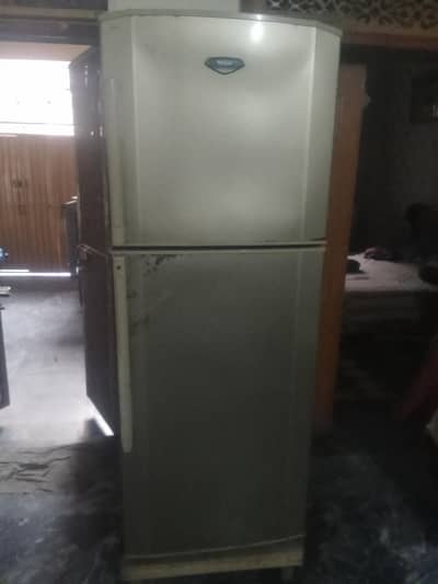 hair full saiz fridge