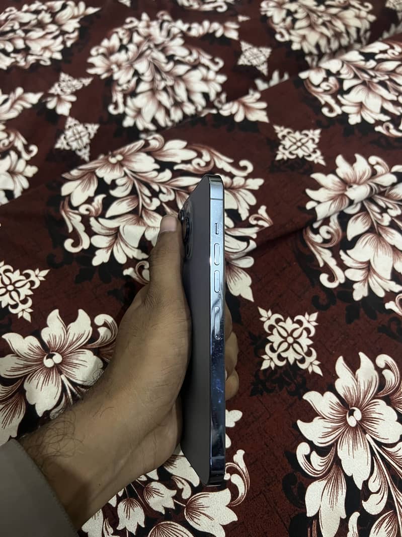 iphone 13 Pro Max 3