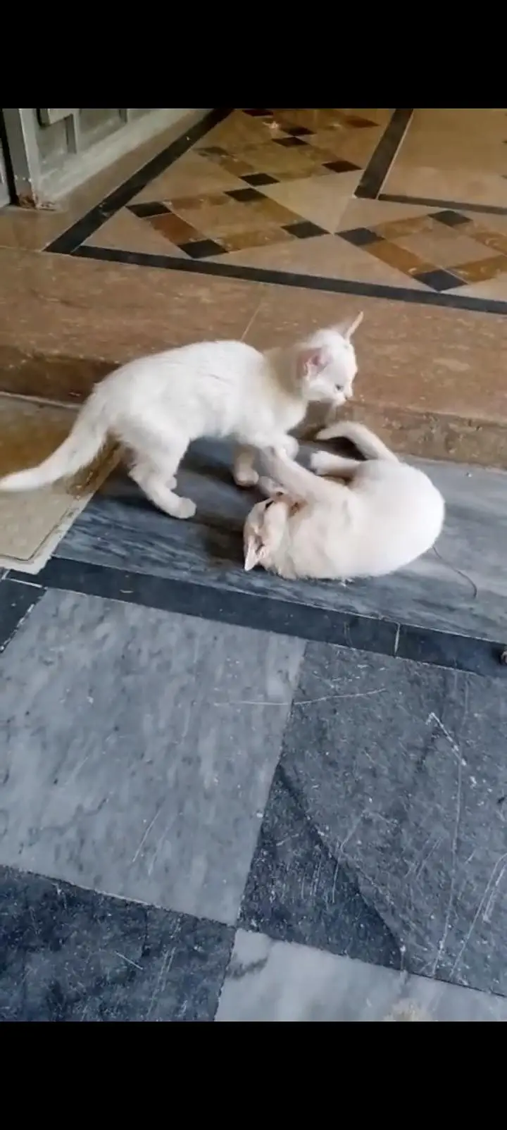 3 Female 2 Male — photo 5