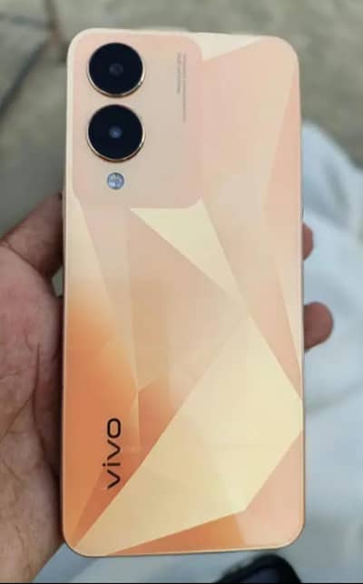 Vivo Y17s