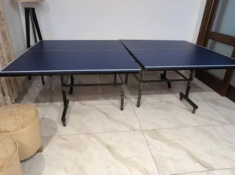 Table Tennis Table 1