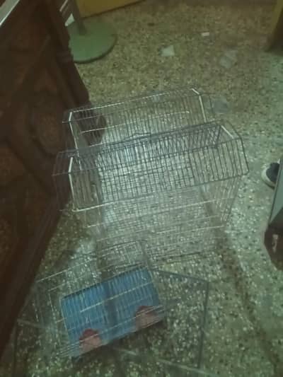 bird cage