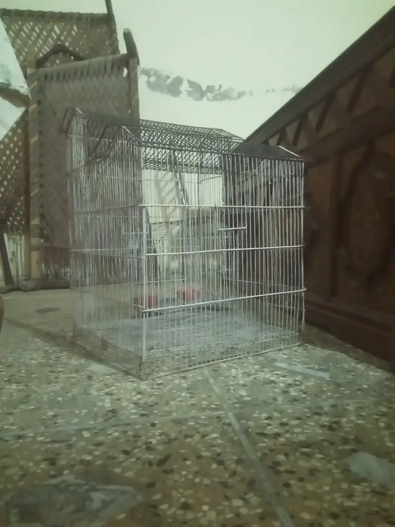 bird cage — photo 2