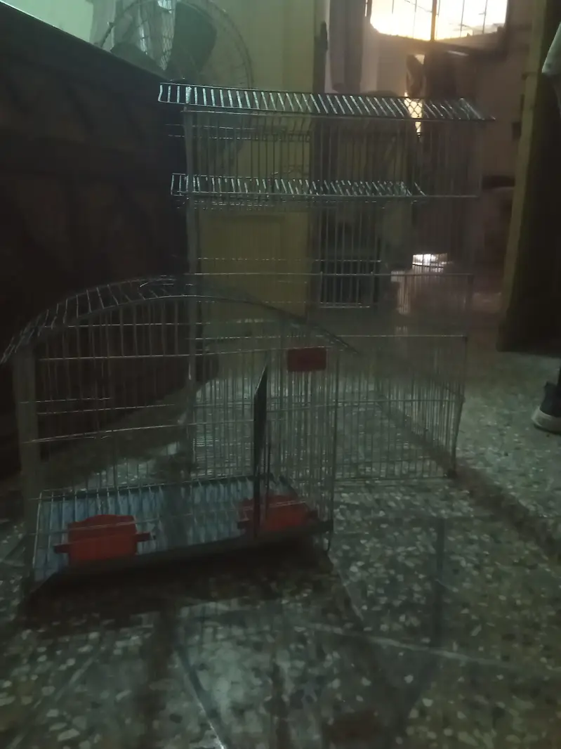 bird cage — photo 4