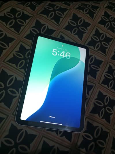 iPad mini 6