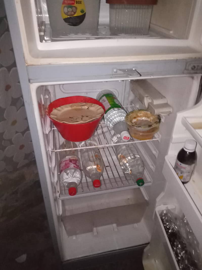 freezer 3
