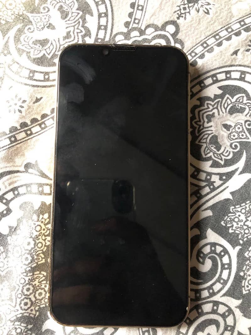 Apple iPhone 13 Pro 1