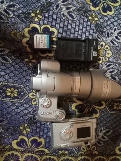 03150317935 olx p jwb Dunga