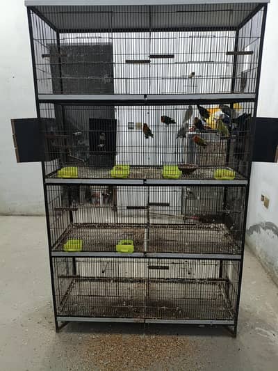 Birds cage 8 portion