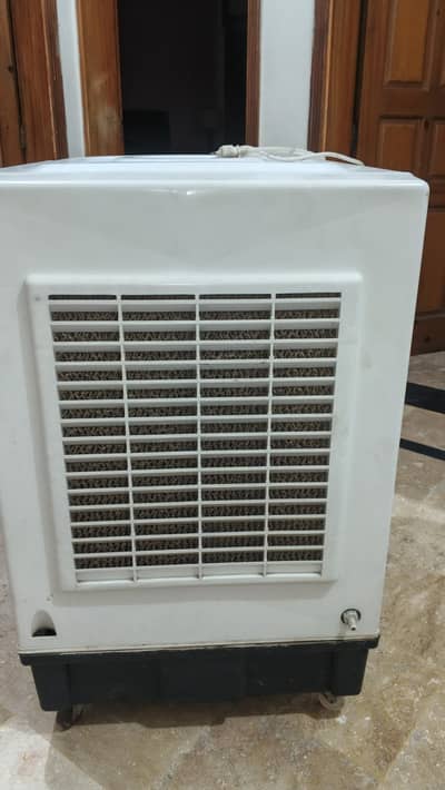Cooler , excellent condition