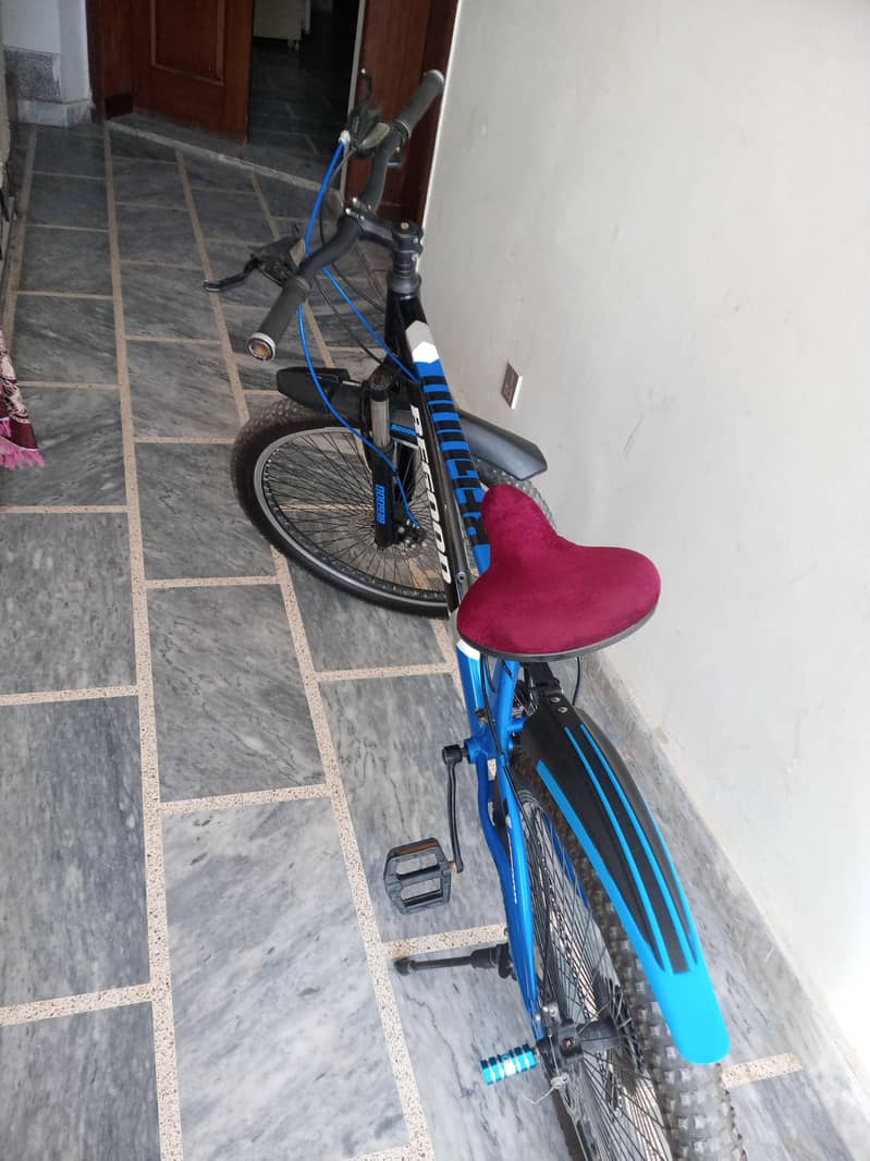 Bicycle 2