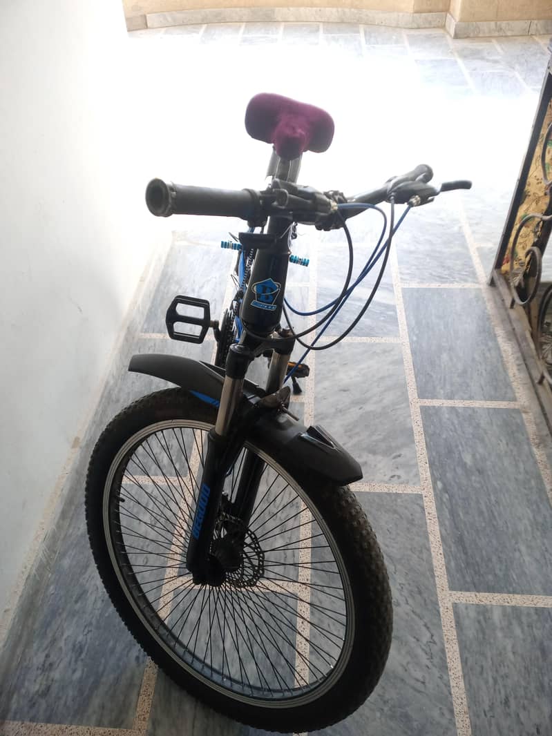 Bicycle 3