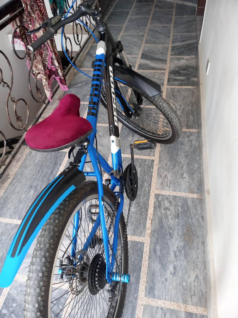Bicycle 5