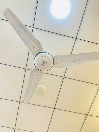 Ceiling fans for sale