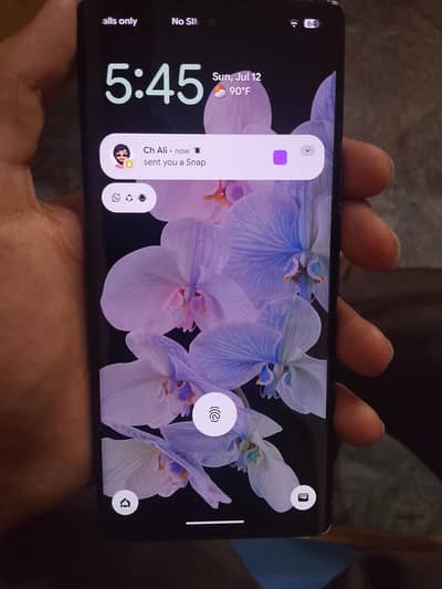 Google Pixel 6 Pro