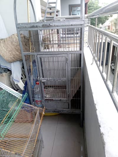 gray parrot cage