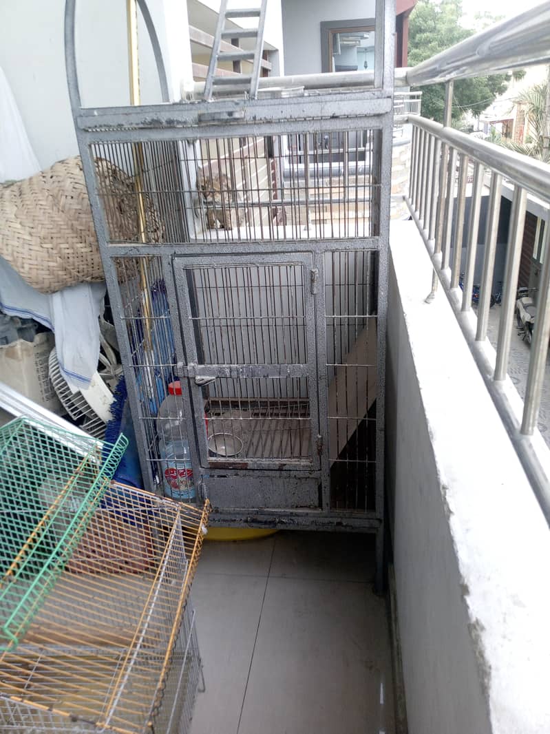 gray parrot cage 0