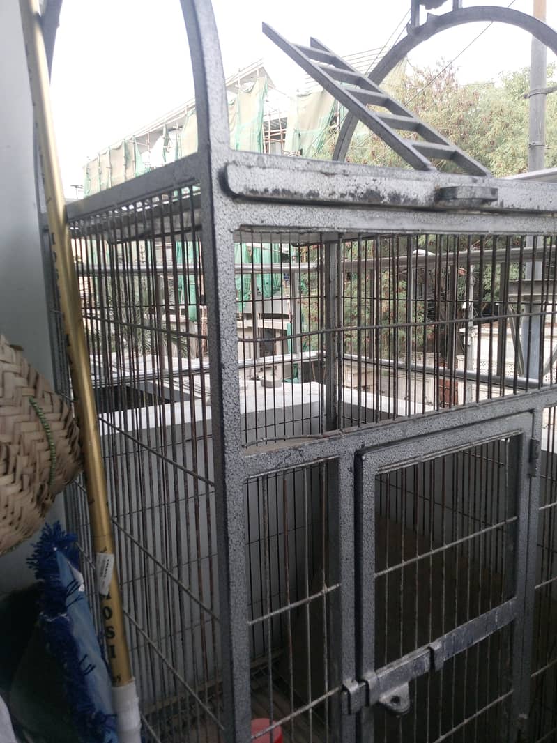 gray parrot cage 1