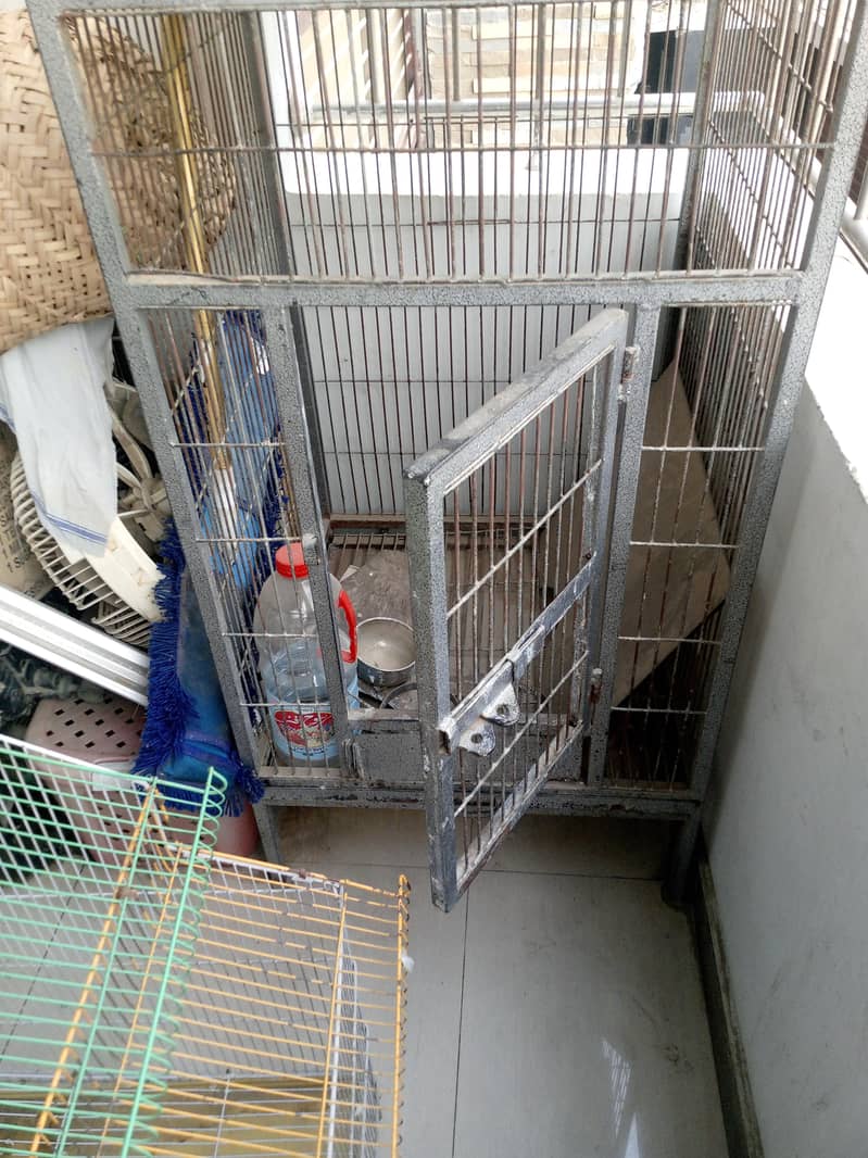 gray parrot cage 3