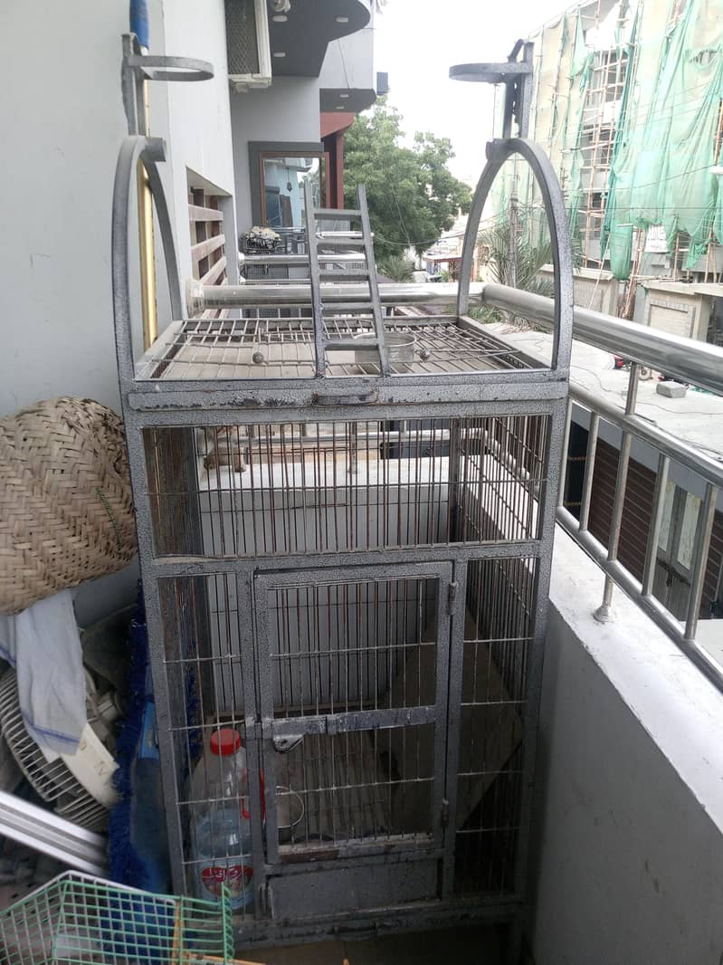 gray parrot cage 4