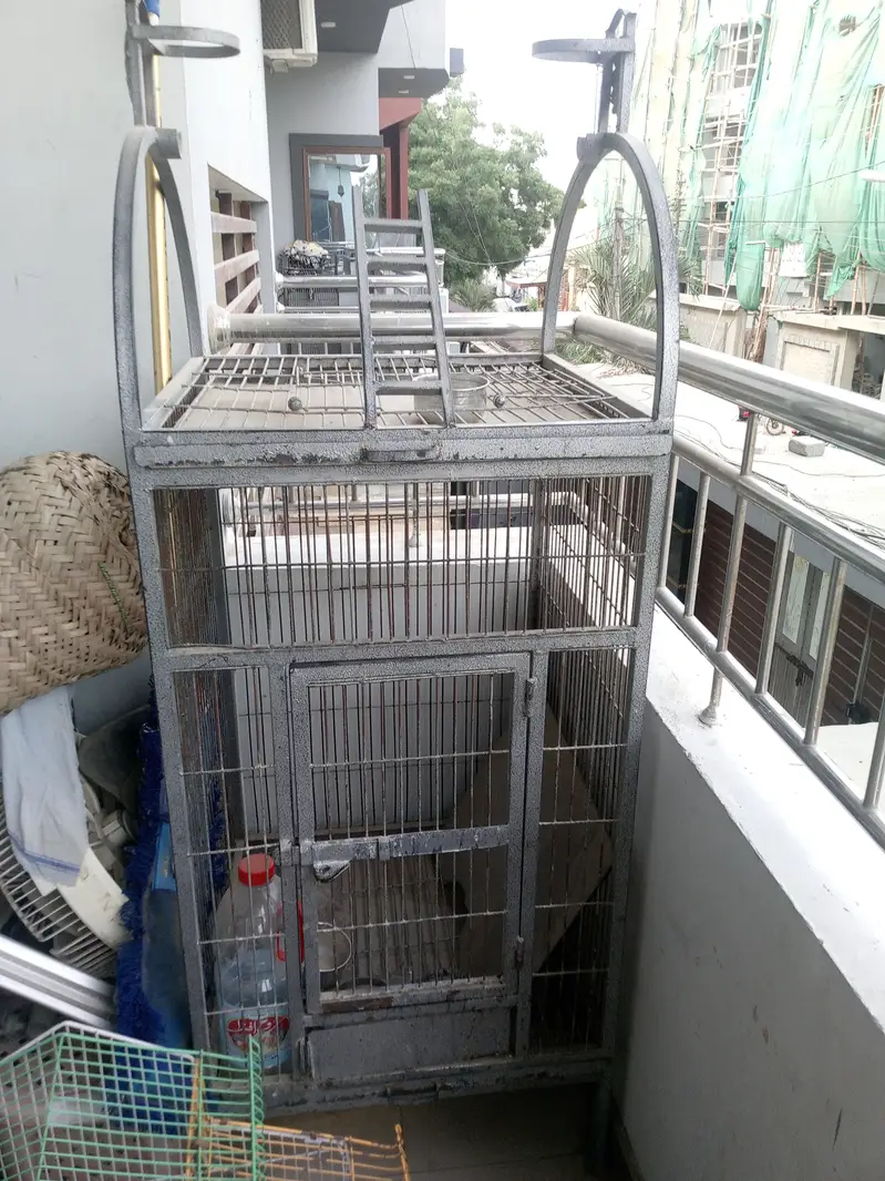 gray parrot cage — photo 6