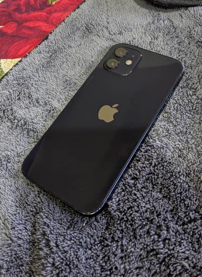Apple iPhone 12