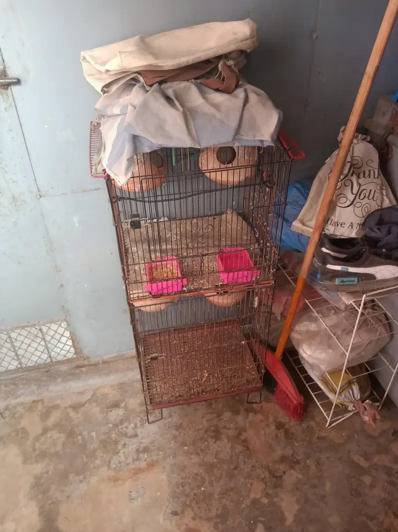 urgent sell — photo 2