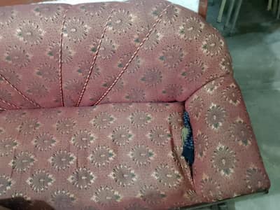 sofa for sale