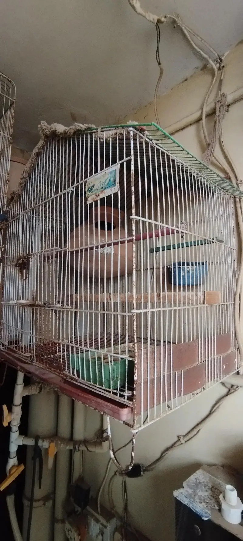 2 poortion cages and 1 portion cage sale — photo 2