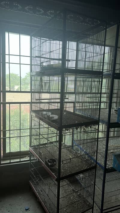 Cages for parrots and pigeons
