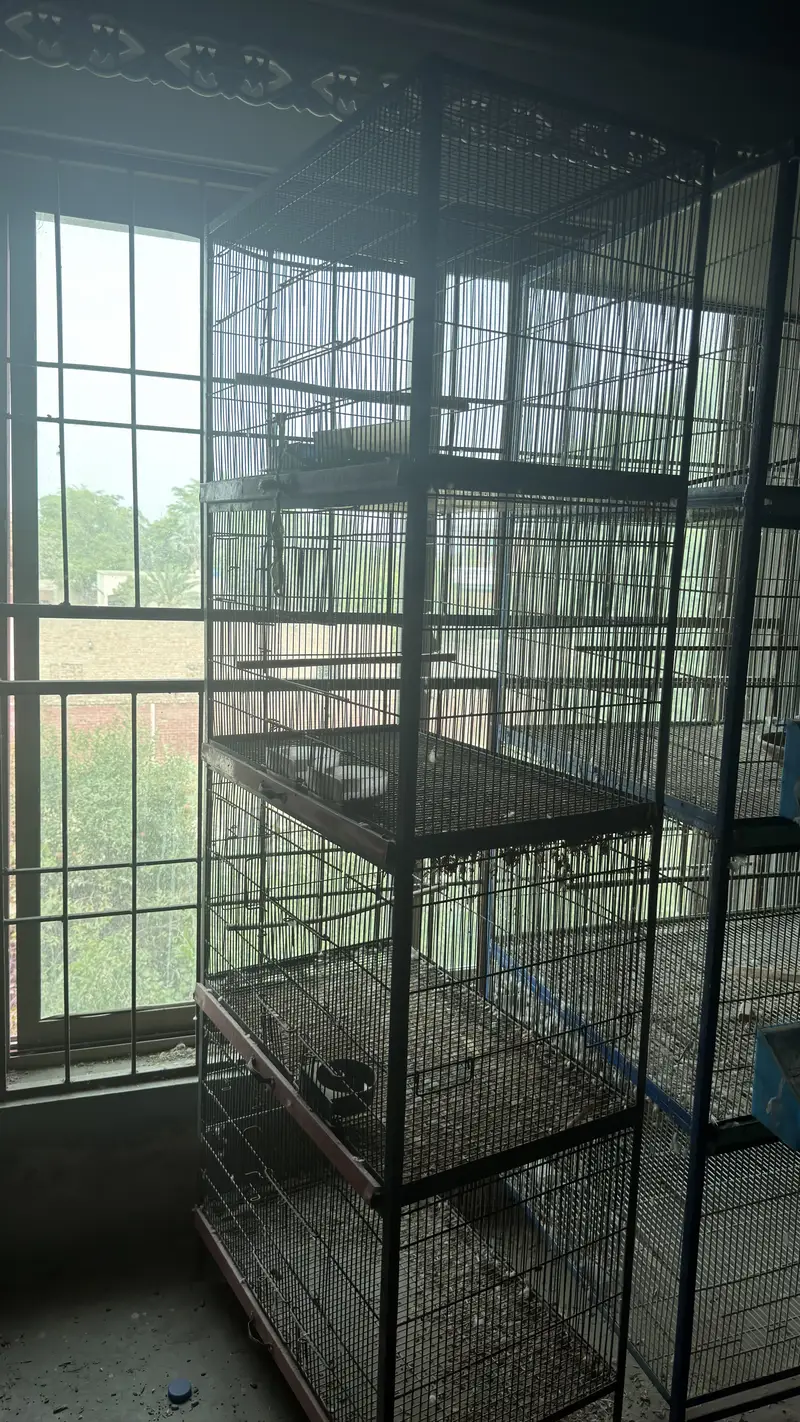 Cages for parrots and pigeons