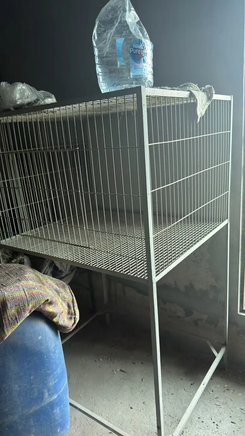 Cages for parrots and pigeons — photo 2