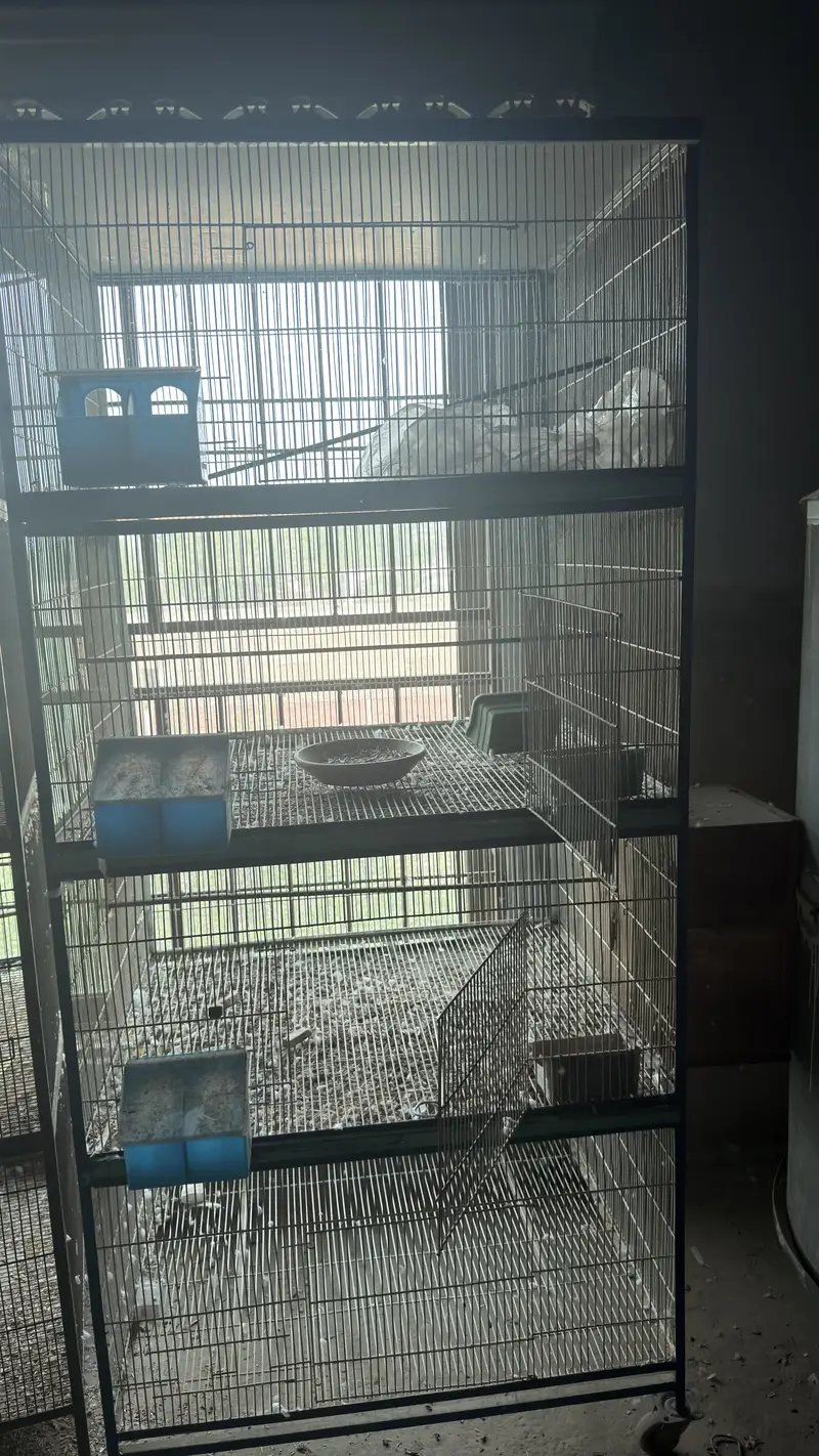 Cages for parrots and pigeons — photo 3