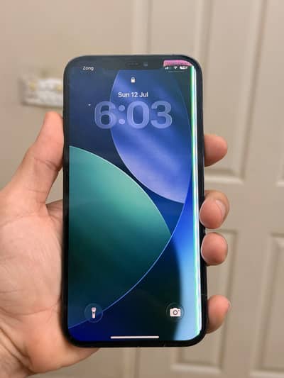 Apple iPhone 12 Pro Max