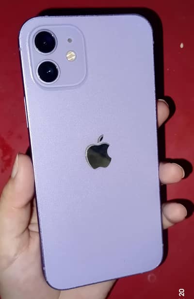 Apple iPhone 12