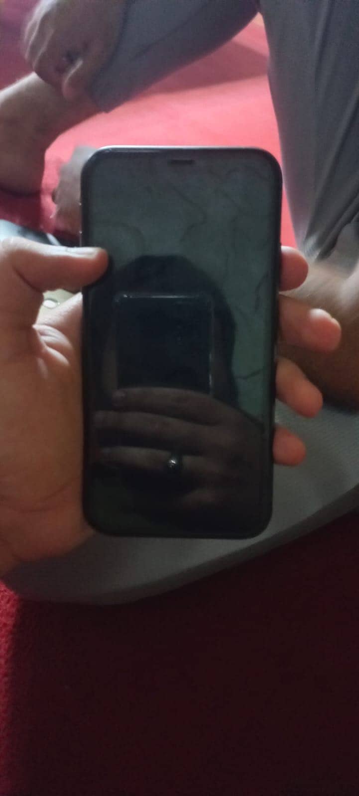 Apple iPhone 11 0