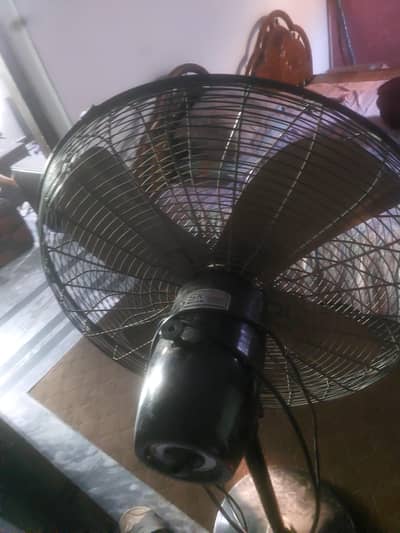 fan for sale