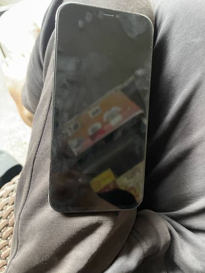 Apple iPhone 12 Pro Max