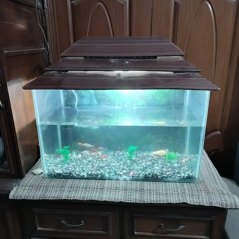 fish aquarium for sale — photo 2