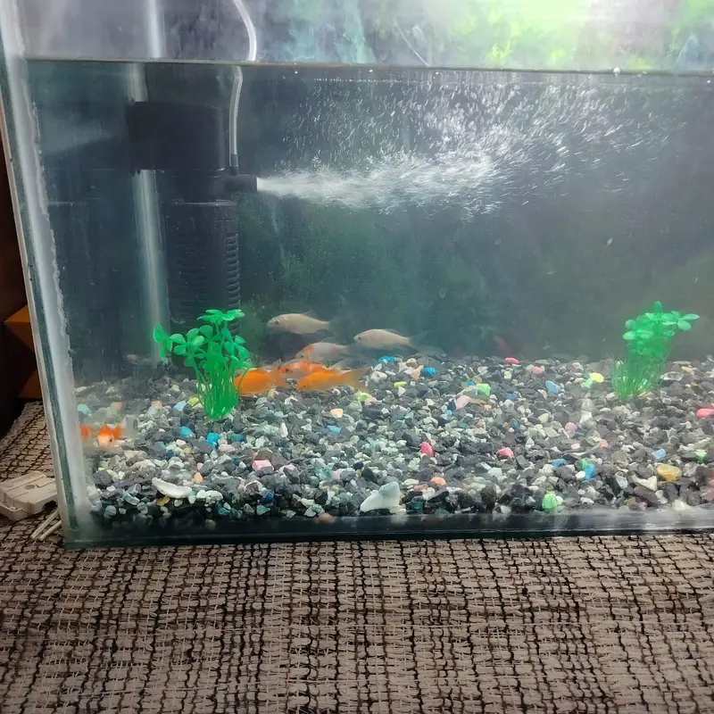 fish aquarium for sale — photo 3