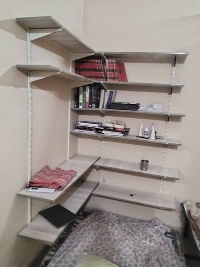 Adjustable and removable shelves