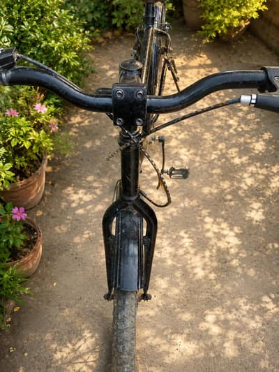 Phoenix Cycle 26" – Good Condition