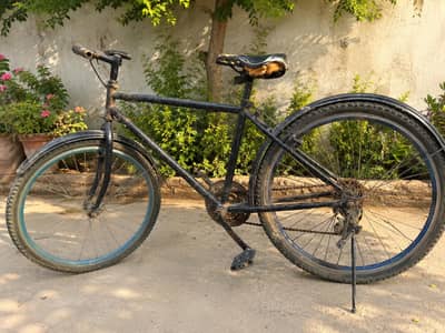 Phoenix Cycle 26" – Good Condition