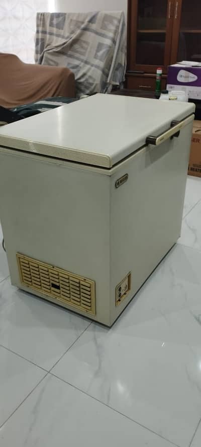 Wave Deep Freezer (used)