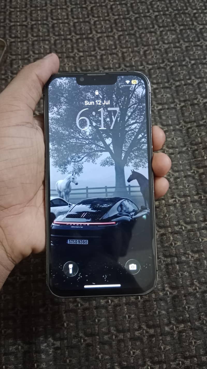 Apple iPhone 13 Pro 0